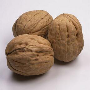 Image:Noix.jpg
