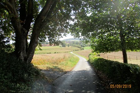 Image:Été19vélo3.jpg