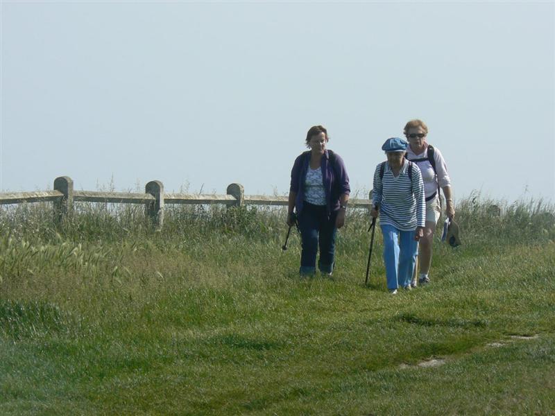 Image:Baie-de-somme-juin-2007-16.jpg