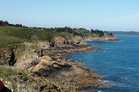 Image:250608erquy6.jpg