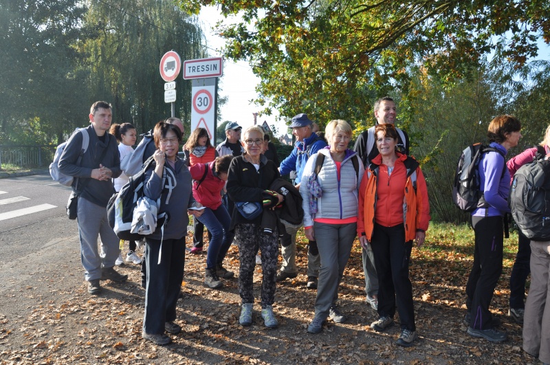 Image:La marche du chicon.jpg