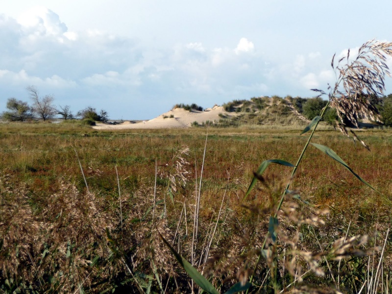 Image:Baieauthie.jpg