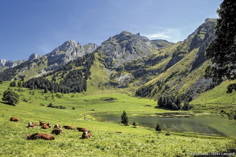 Image:Aravis.jpg